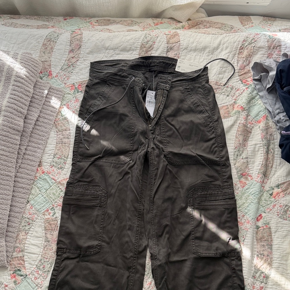American Eagle Outfitters Dark Gray Cargo Pants